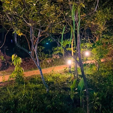 Sigiri Starwing Villa Szigirija Kültér fotó