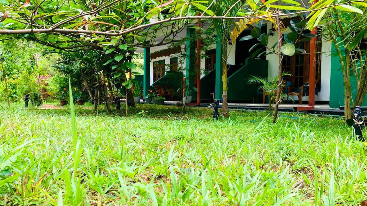 Sigiri Starwing Villa Szigirija Kültér fotó